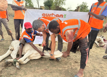 Qurban.uk Sahibi Niyetine Kurban