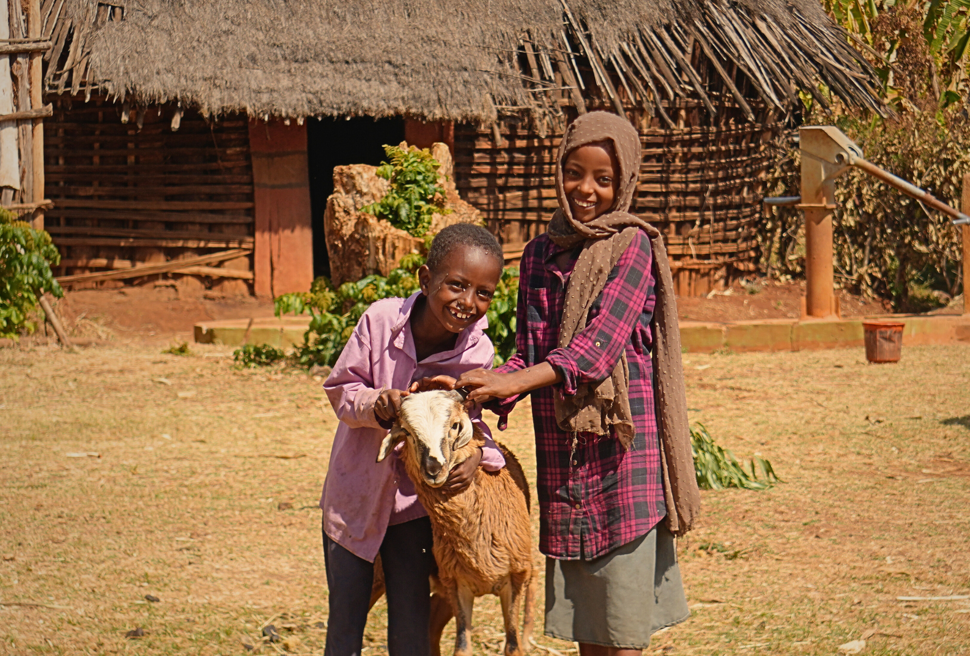 qurbanuk-adak-kurban